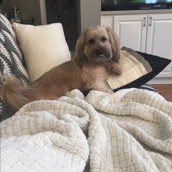 Meet your Posher, Shannon - Picture 7 of 7